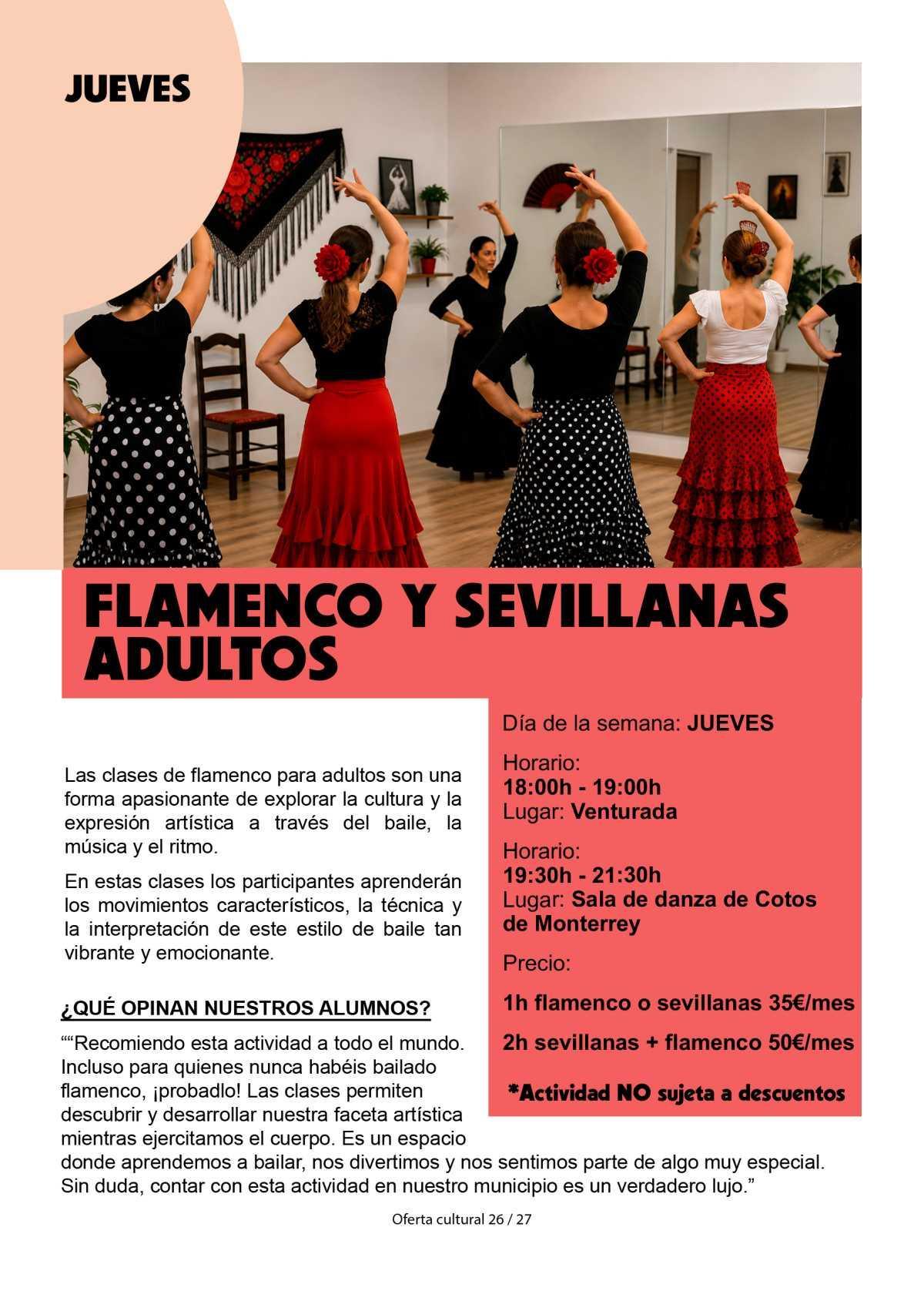 Flamenco y Sevillanas adultos