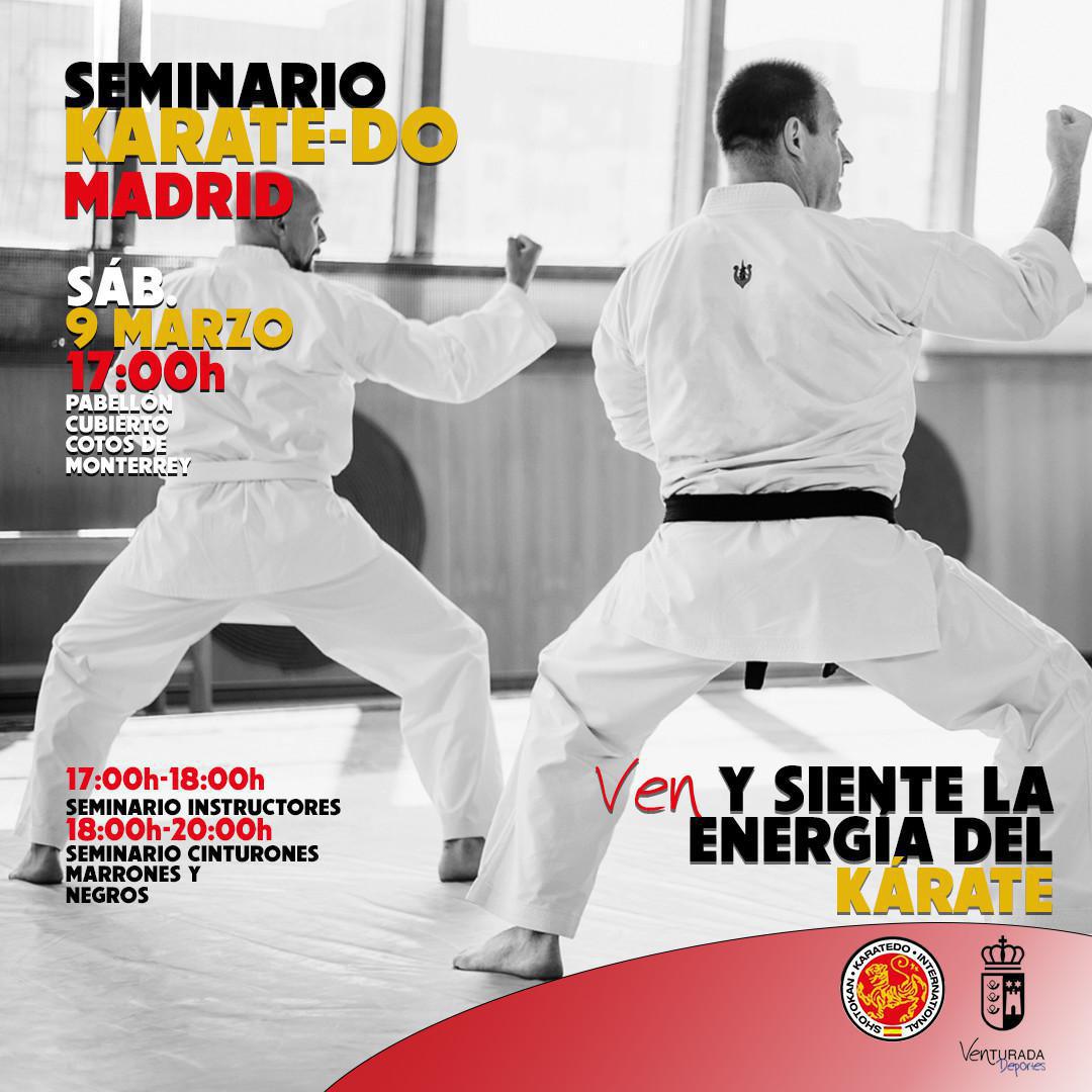 ¡SEMINARIO KARATE-DO MADRID!