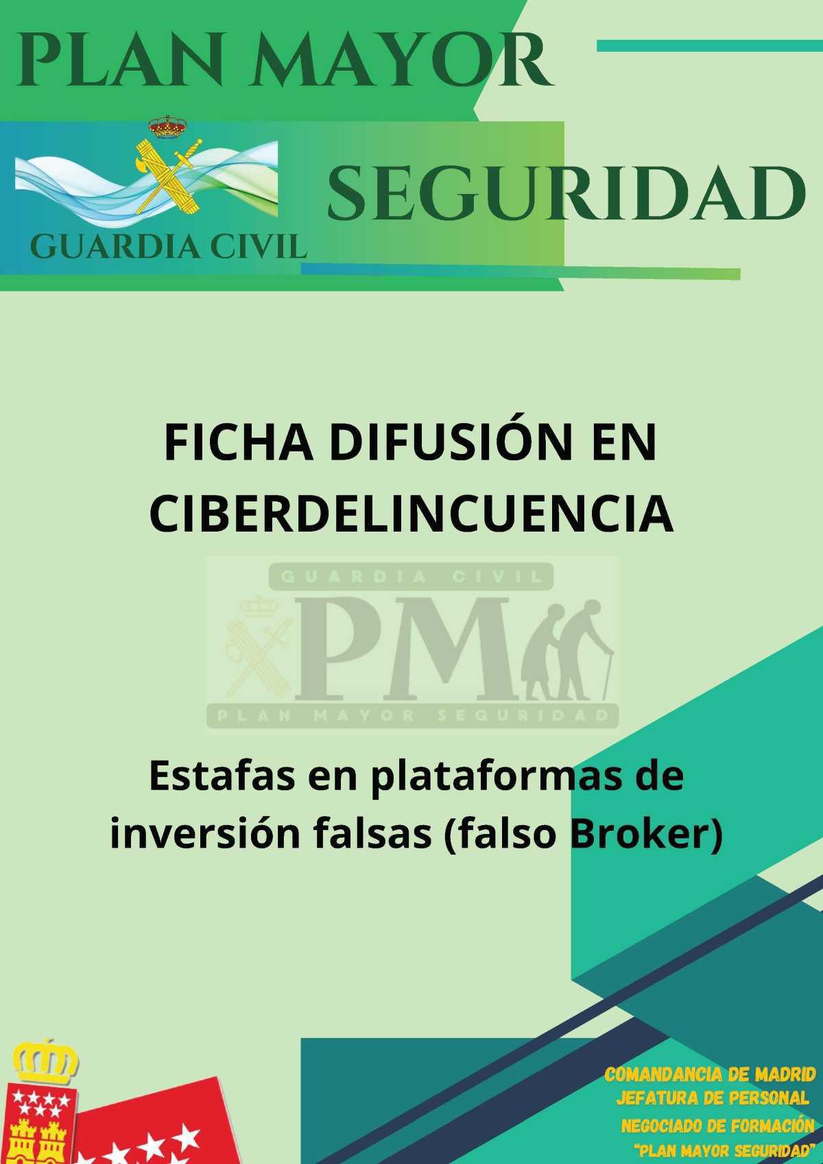 PLAN MAYOR DE SEGURIDAD- CIBERDELINCUENCIA