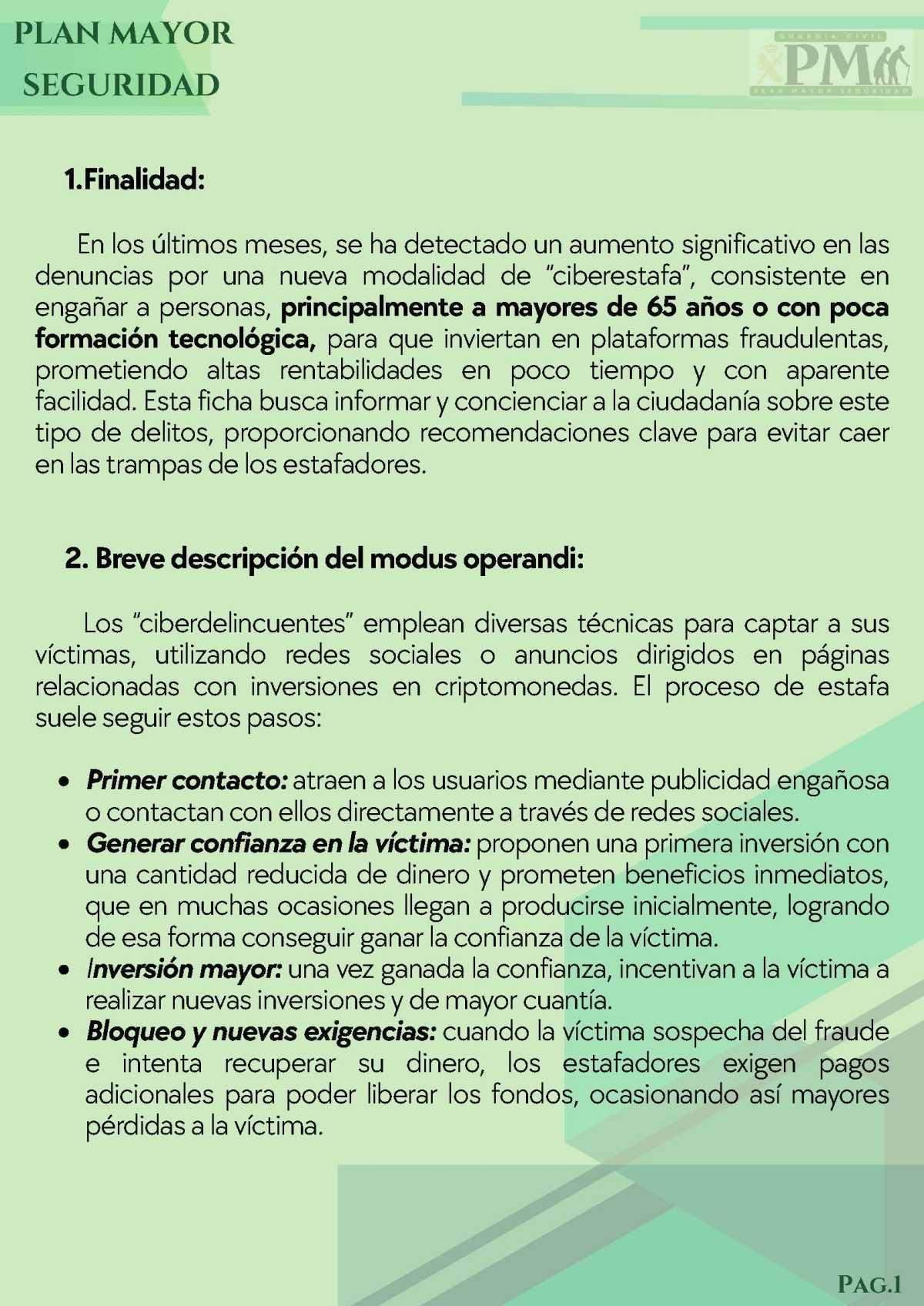 PLAN MAYOR DE SEGURIDAD- CIBERDELINCUENCIA