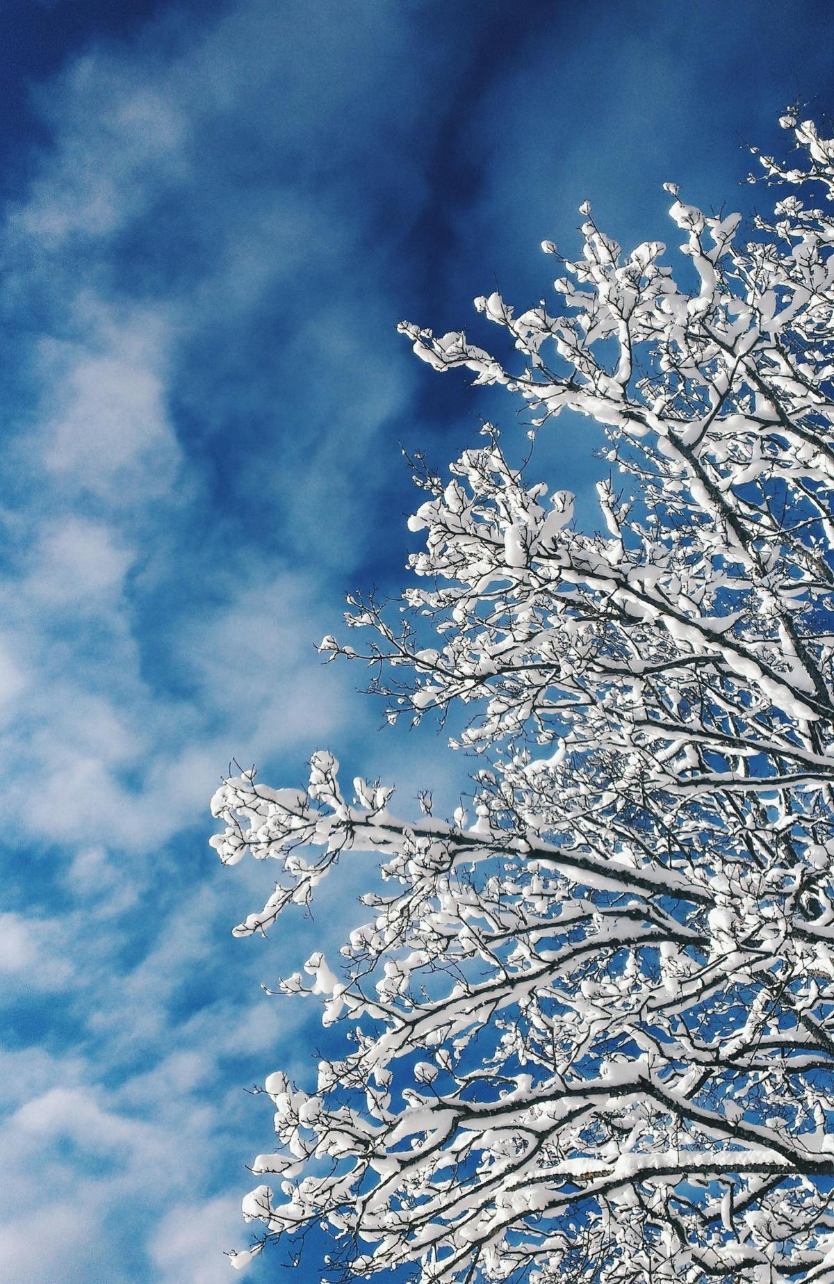 ‼️ REPORT DES COURS COLLECTIFS DE TENNIS ‼️