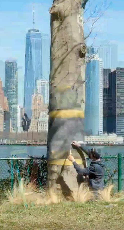 L'illusion d'un arbre à Manhattan.