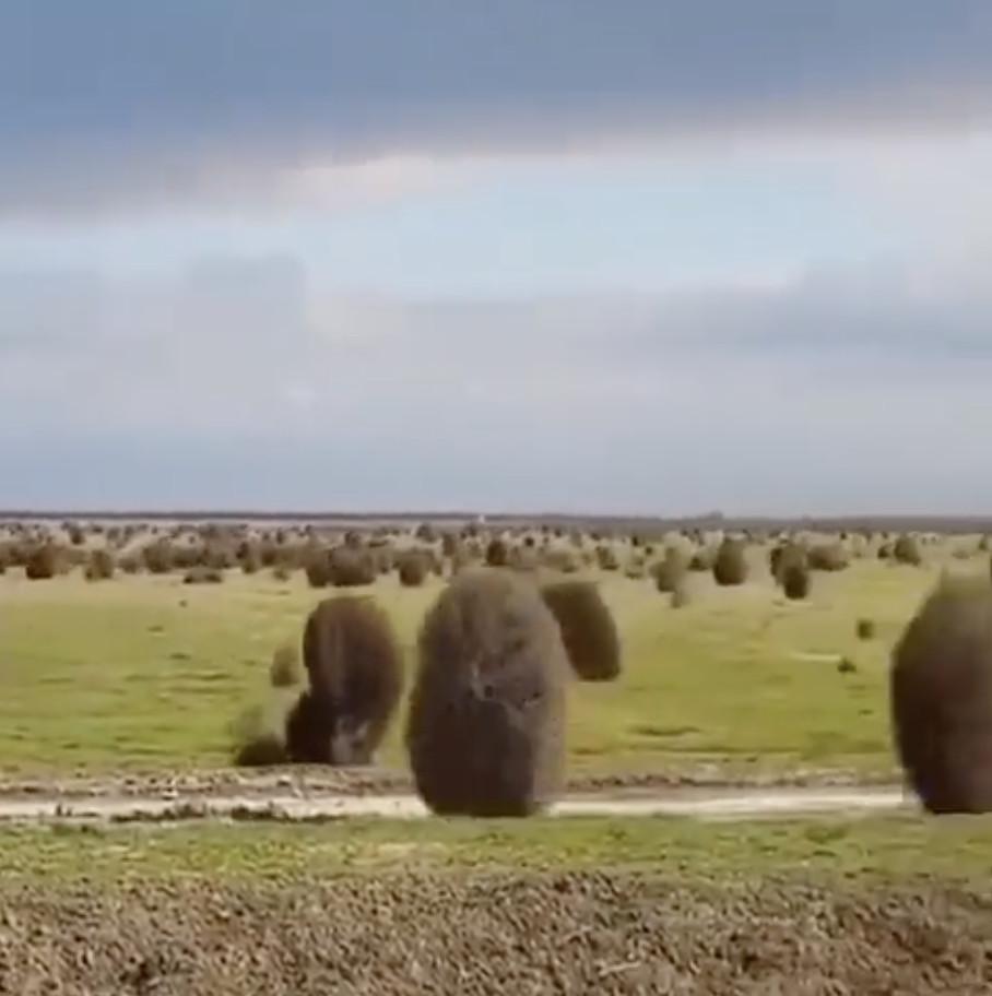 Juste une migration de routine du tumbleweed