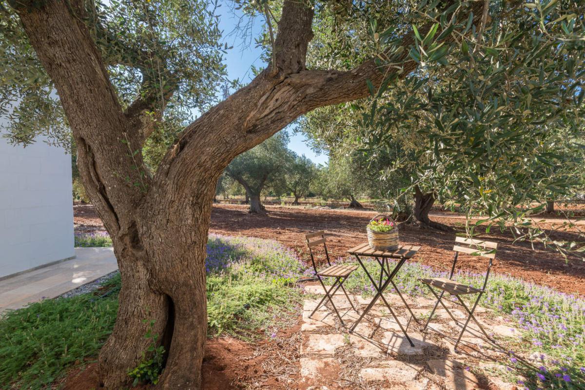 Villa Giova Villa Giova