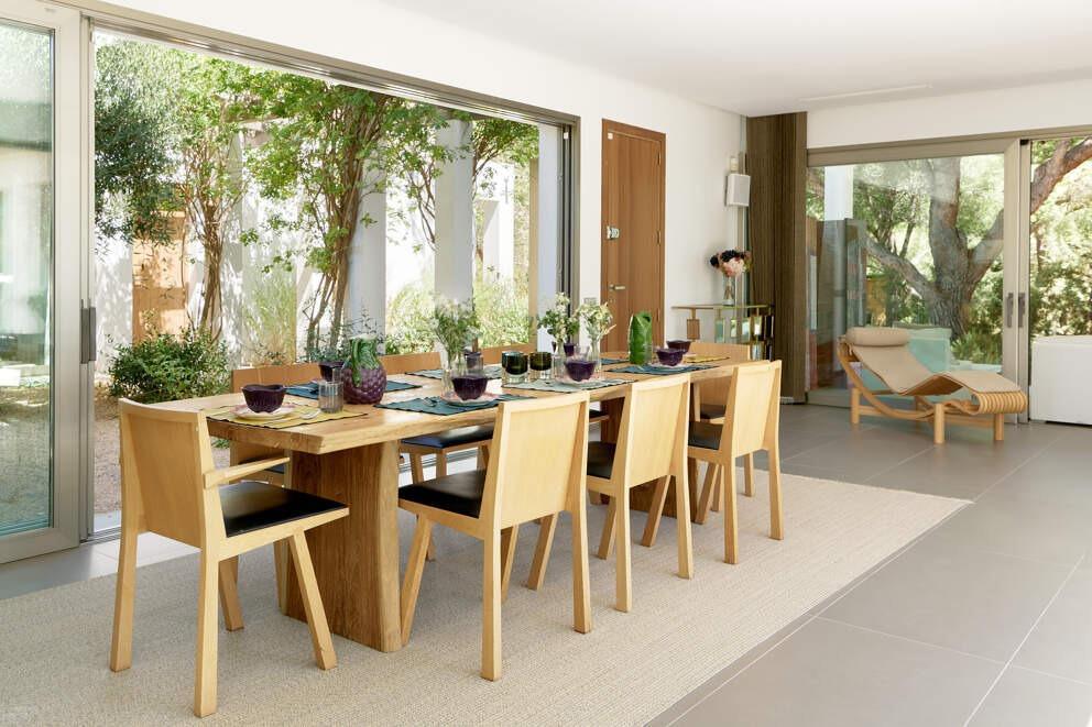 Can Tehani Can Tehani