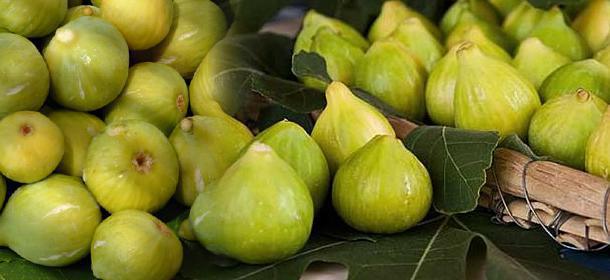 THE WHITE FIG FROM CILENTO THE WHITE FIG FROM CILENTO