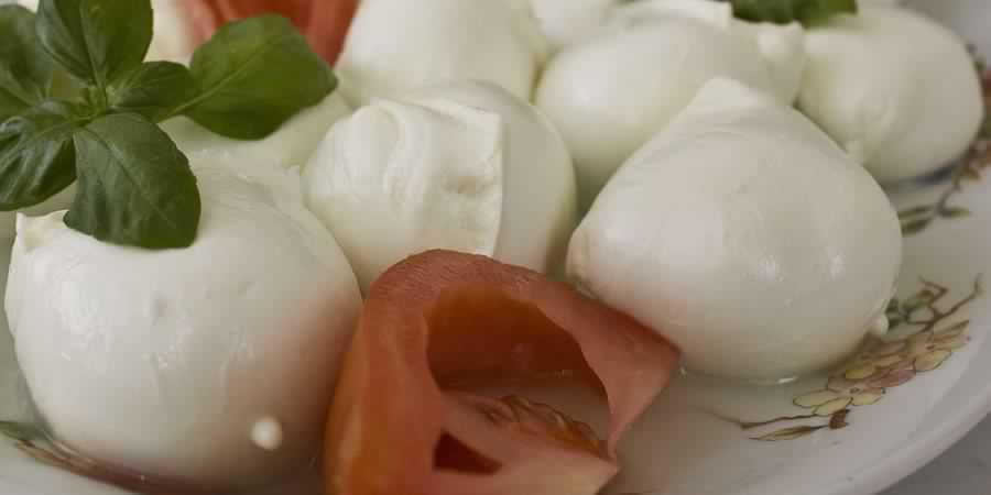 Mozzarella di Bufala Campana DOP