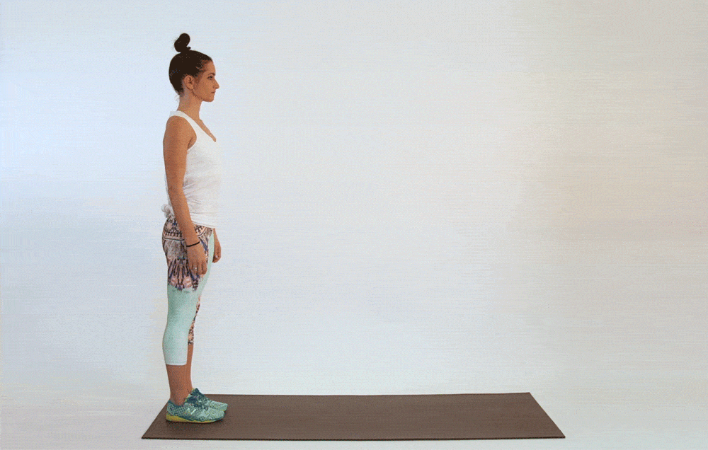 Full Body Work Out 