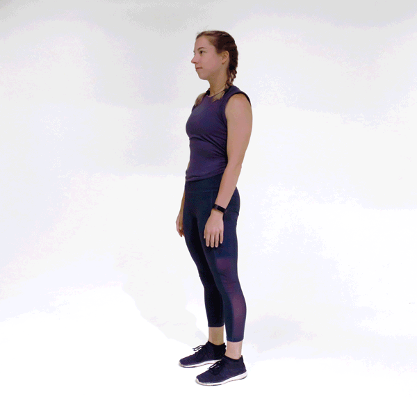 Full Body Work Out 