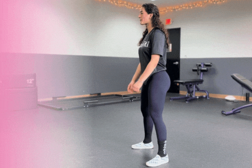 Full Body Work Out 