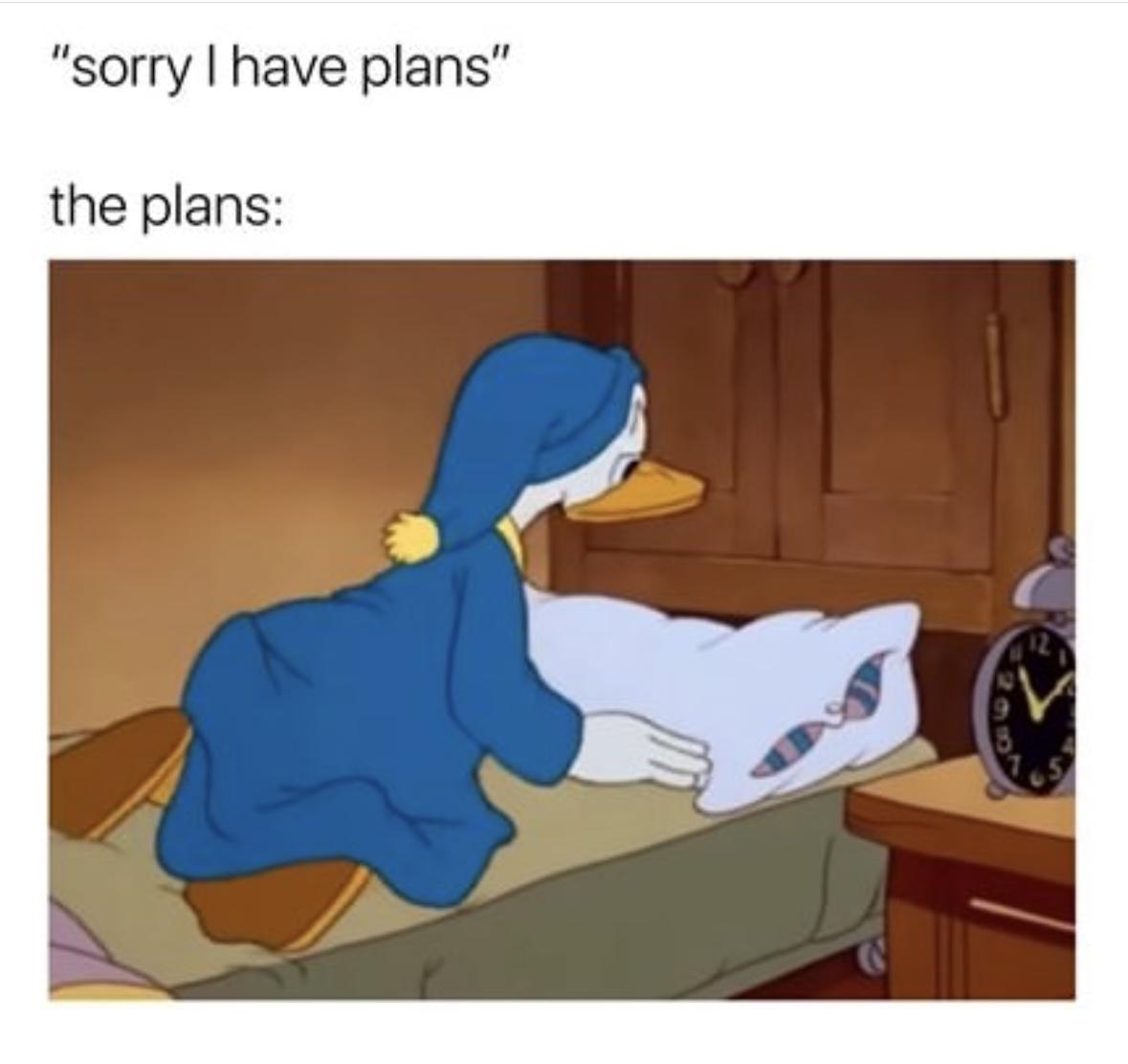 Girl Memes & Quotes