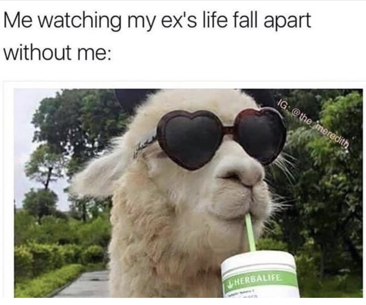 Girl Memes & Quotes