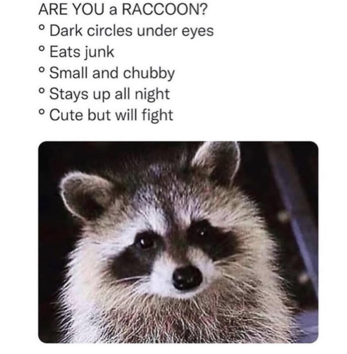 Girl Memes & Quotes