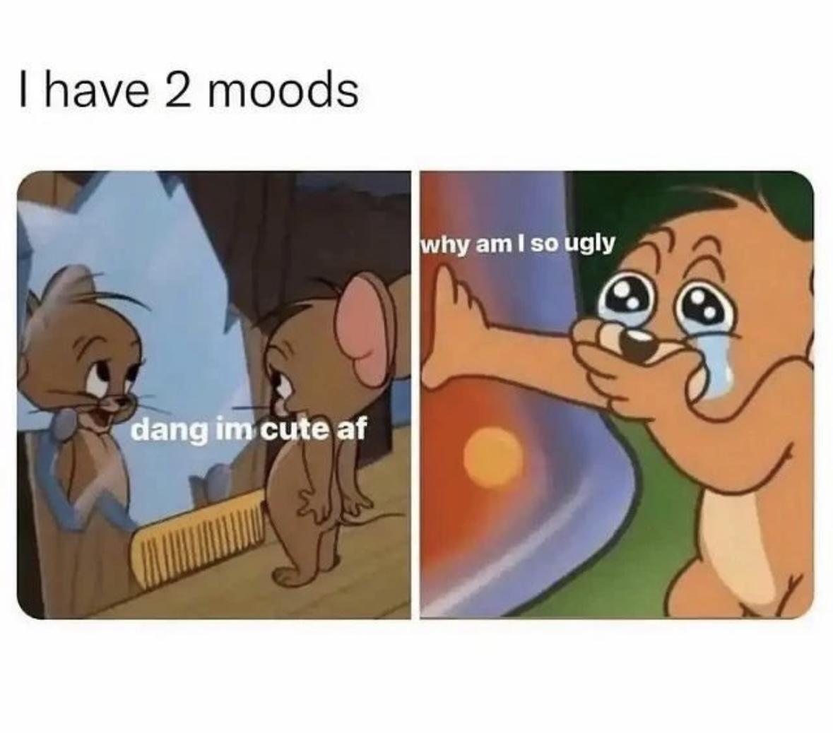 Girl Memes & Quotes