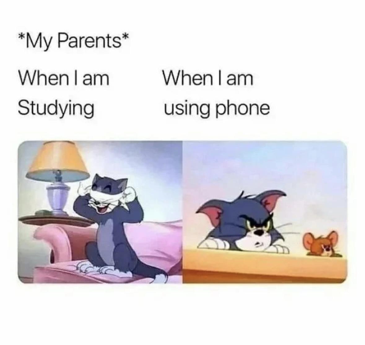 Girl Memes & Quotes