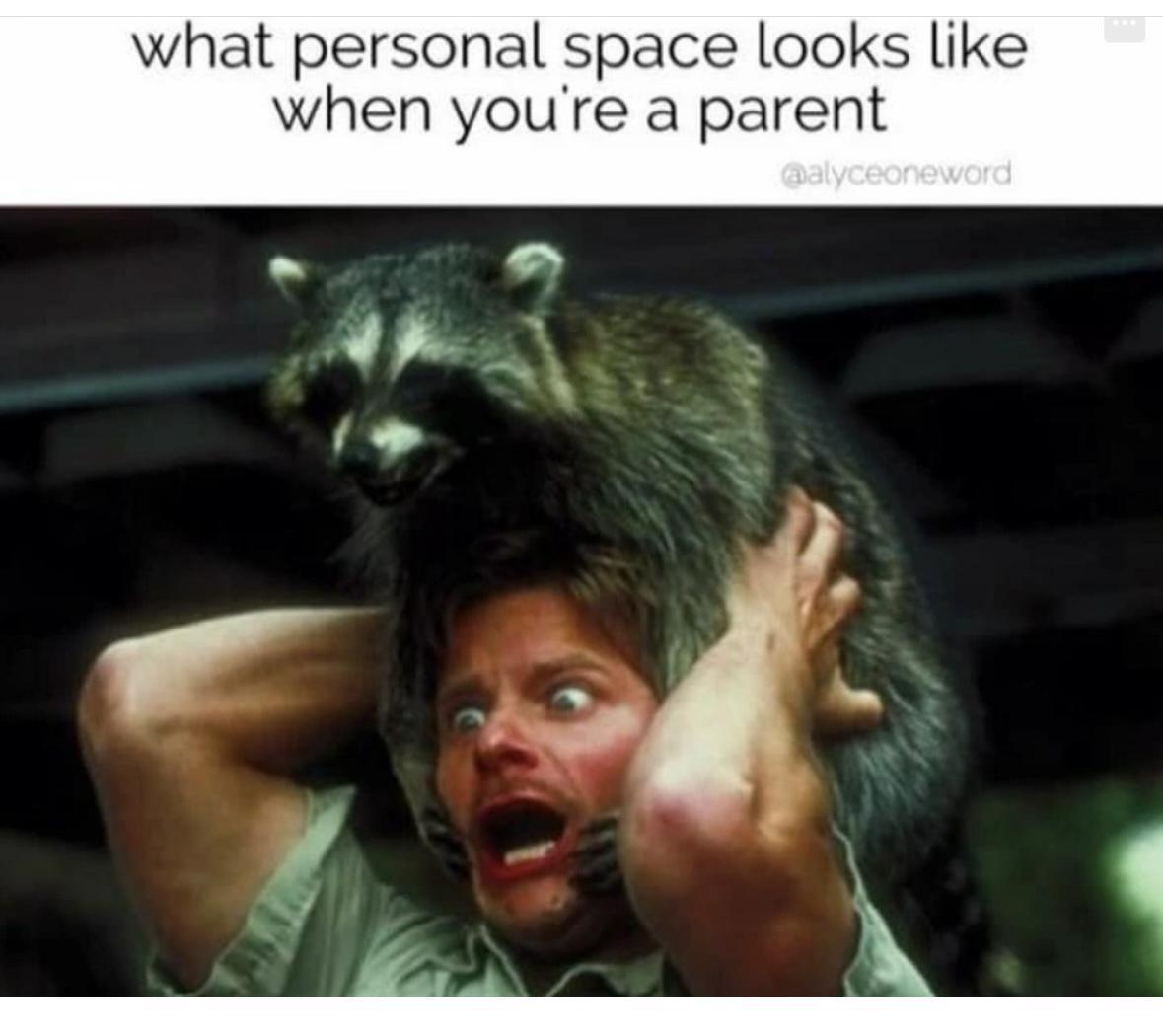 Girl Memes & Quotes