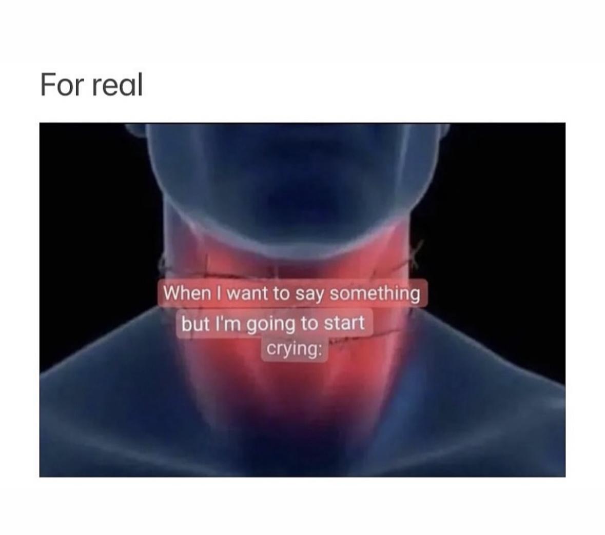 Girl Memes & Quotes