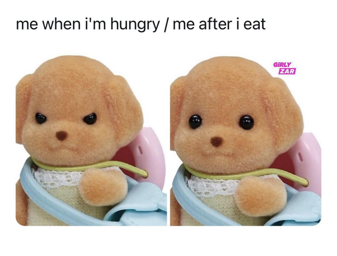Girl Memes & Quotes