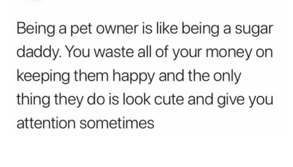 Girl Memes & Quotes