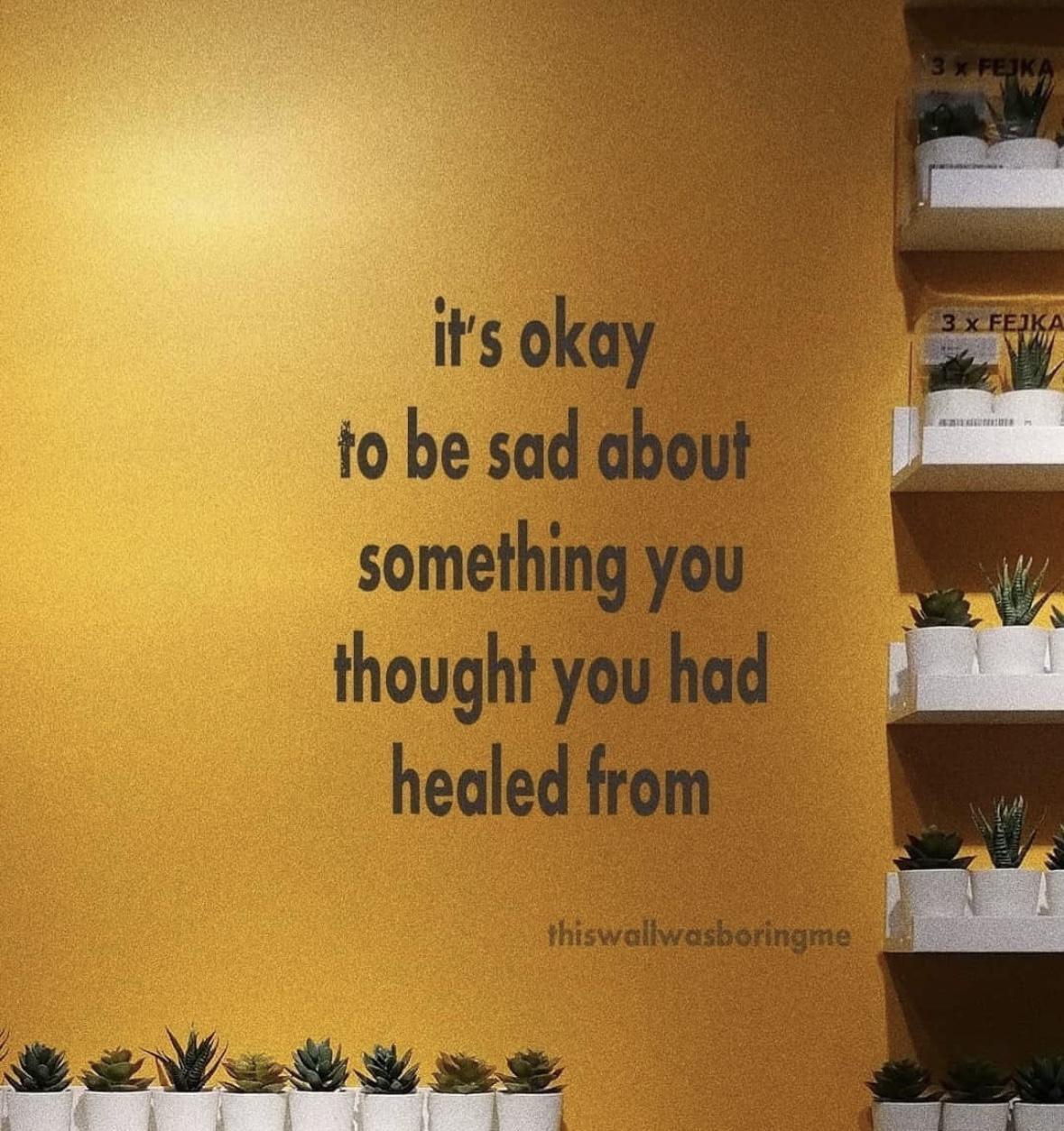 Girl Memes & Quotes