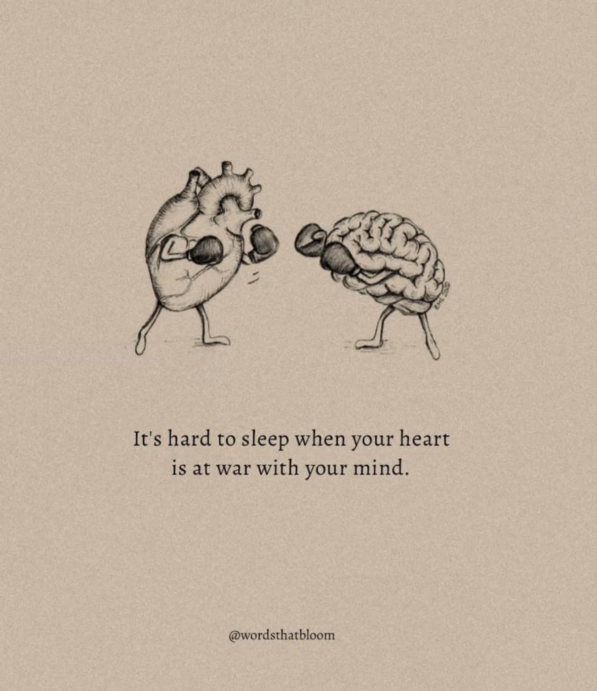 Girl Memes & Quotes
