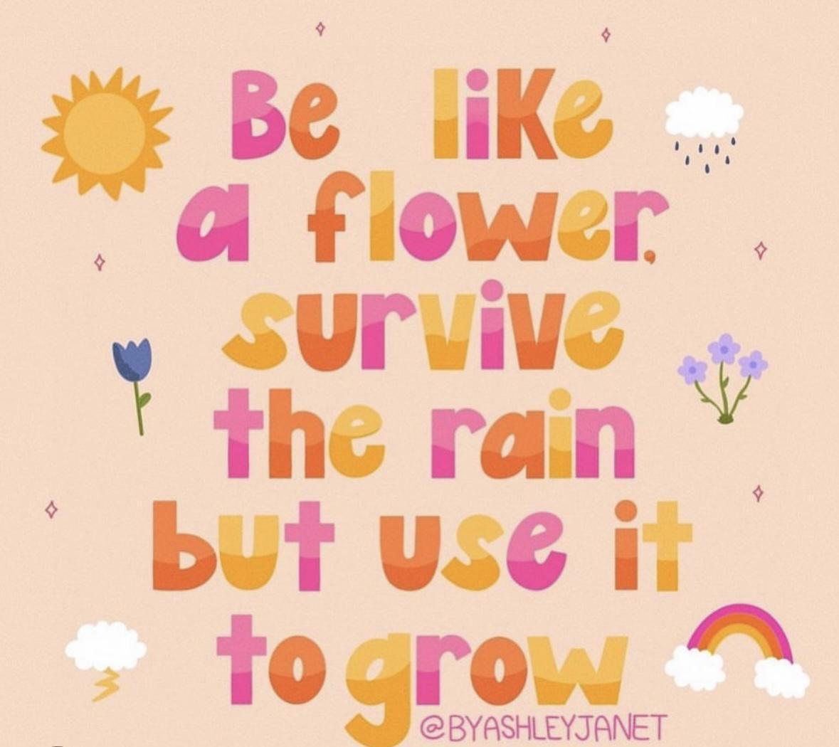 Girl Memes & Quotes