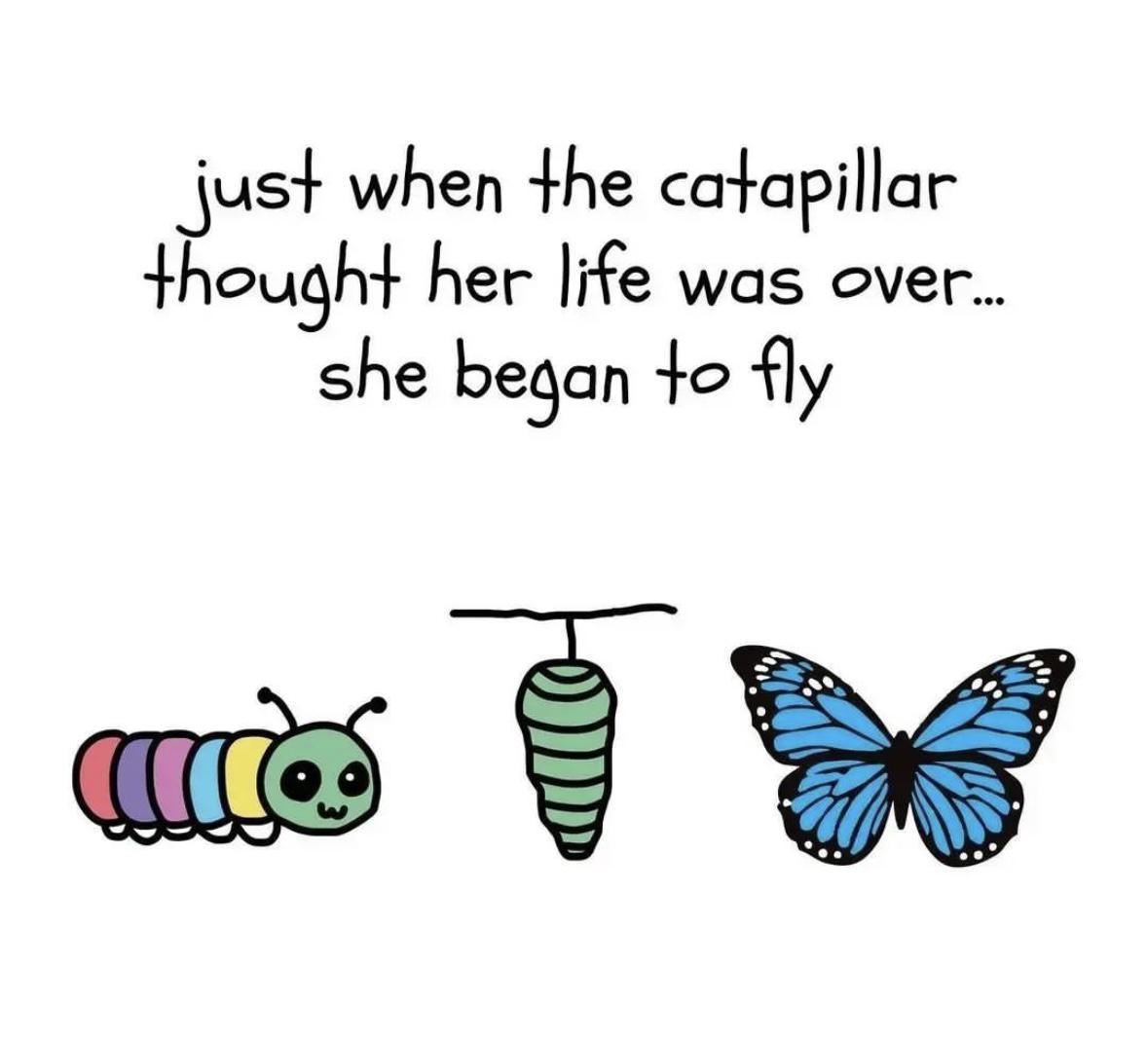Girl Memes & Quotes