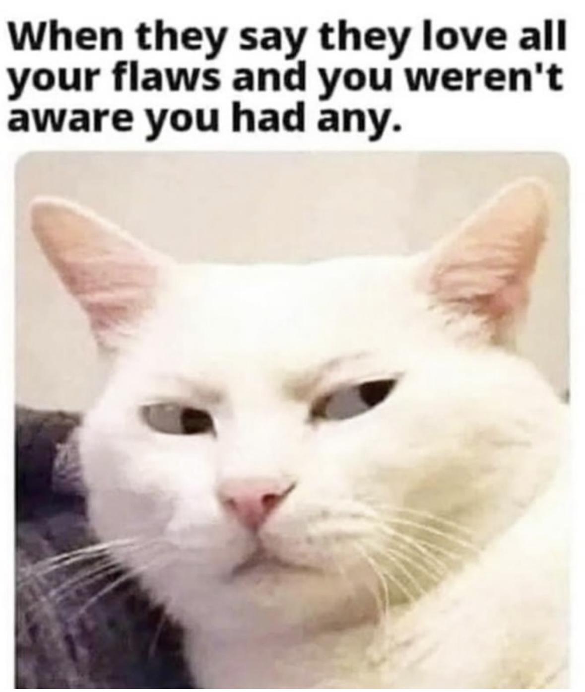 Girl Memes & Quotes