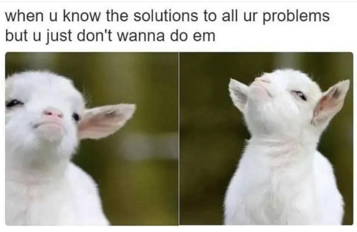 Girl Memes & Quotes