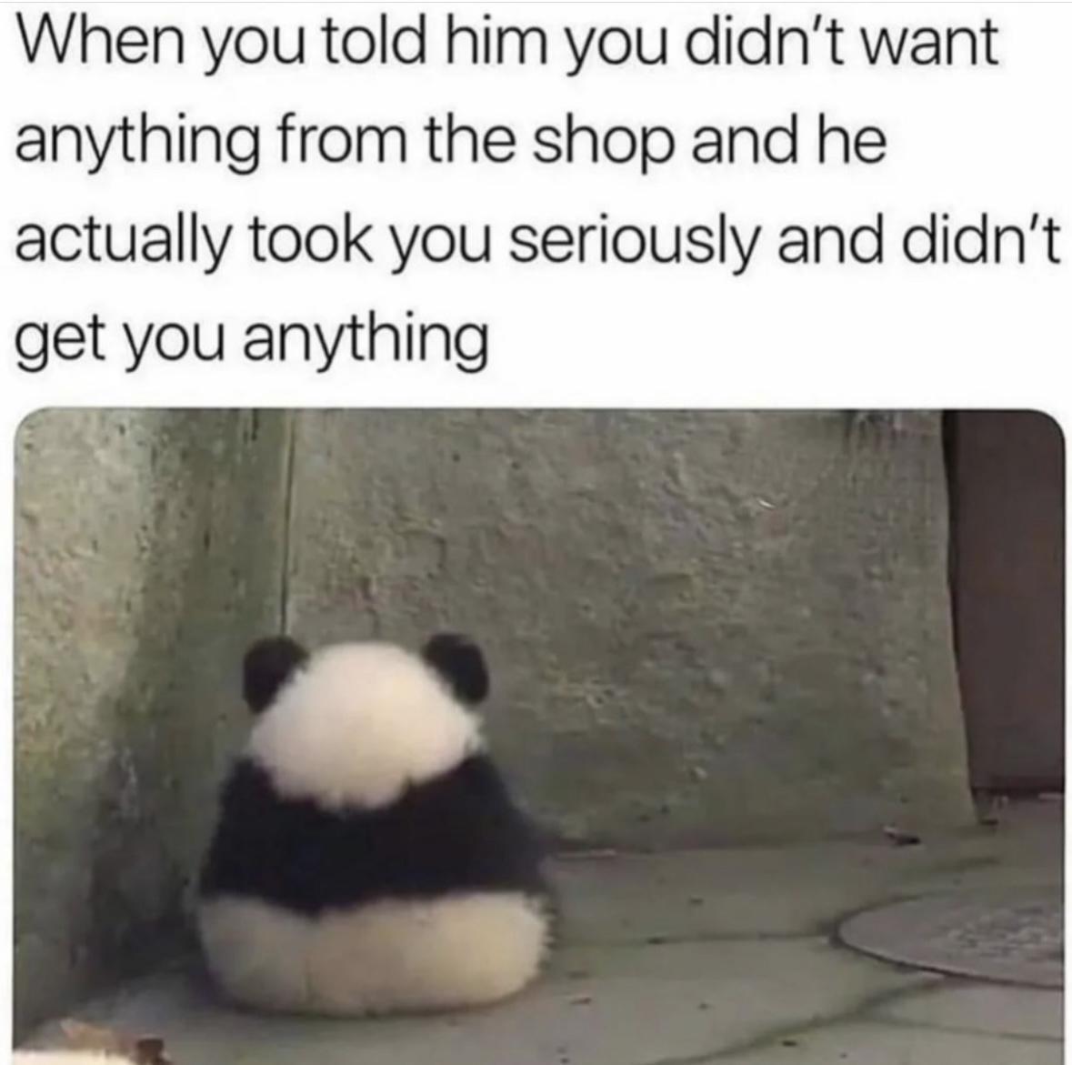 Girl Memes & Quotes