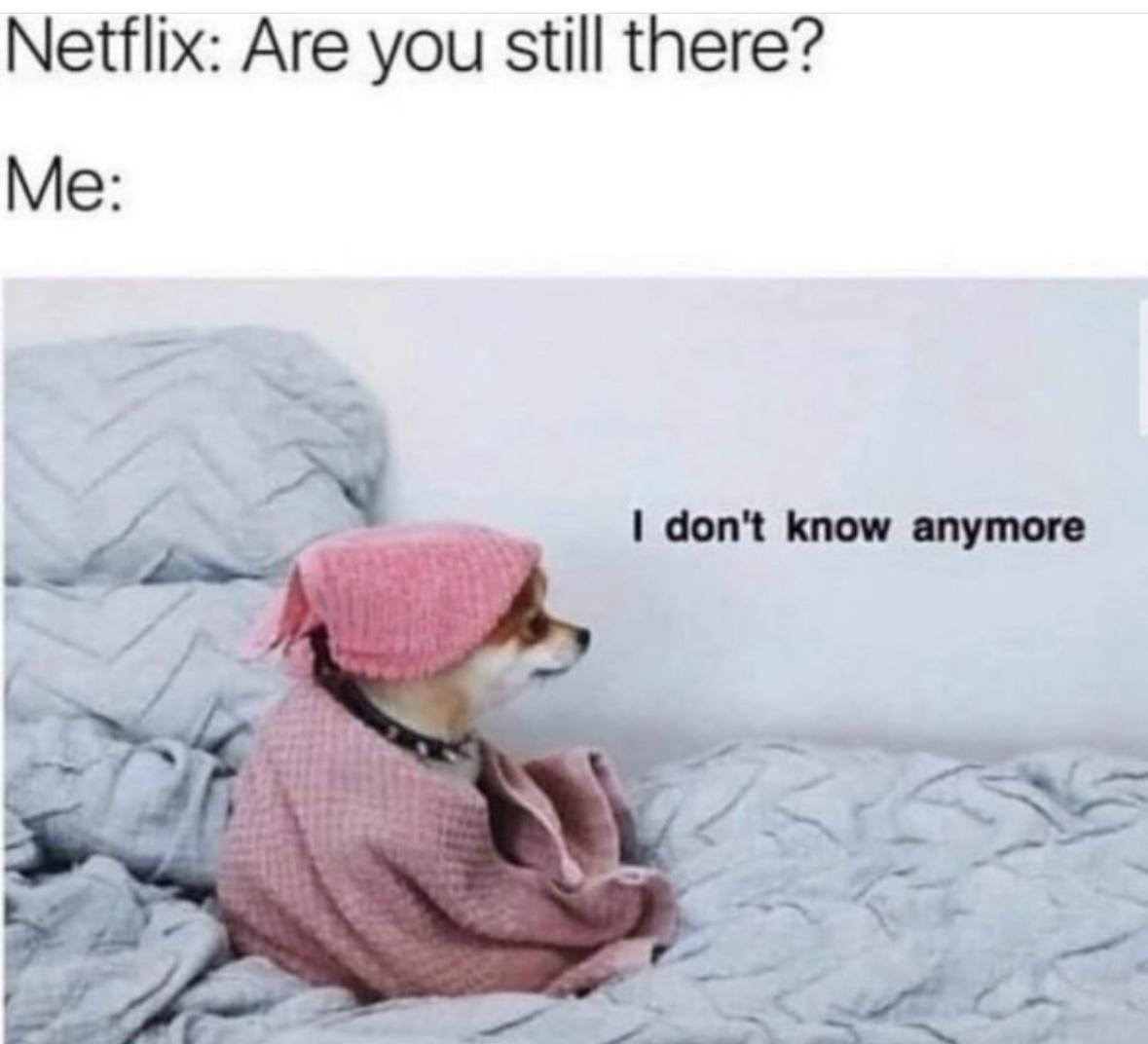 Girl Memes & Quotes