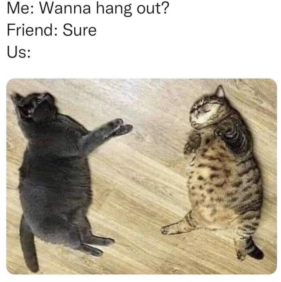 Girl Memes & Quotes