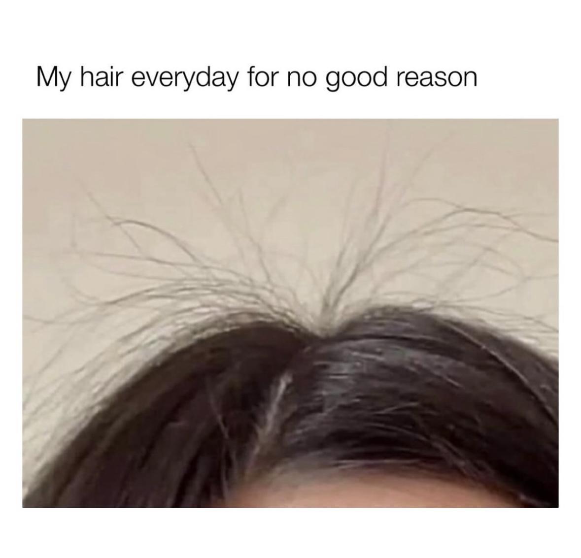 Girl Memes & Quotes