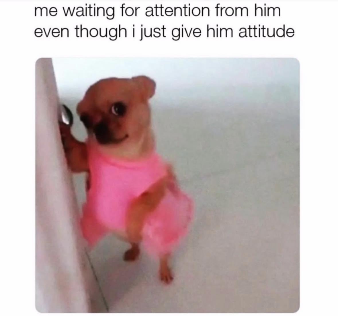 Girl Memes & Quotes