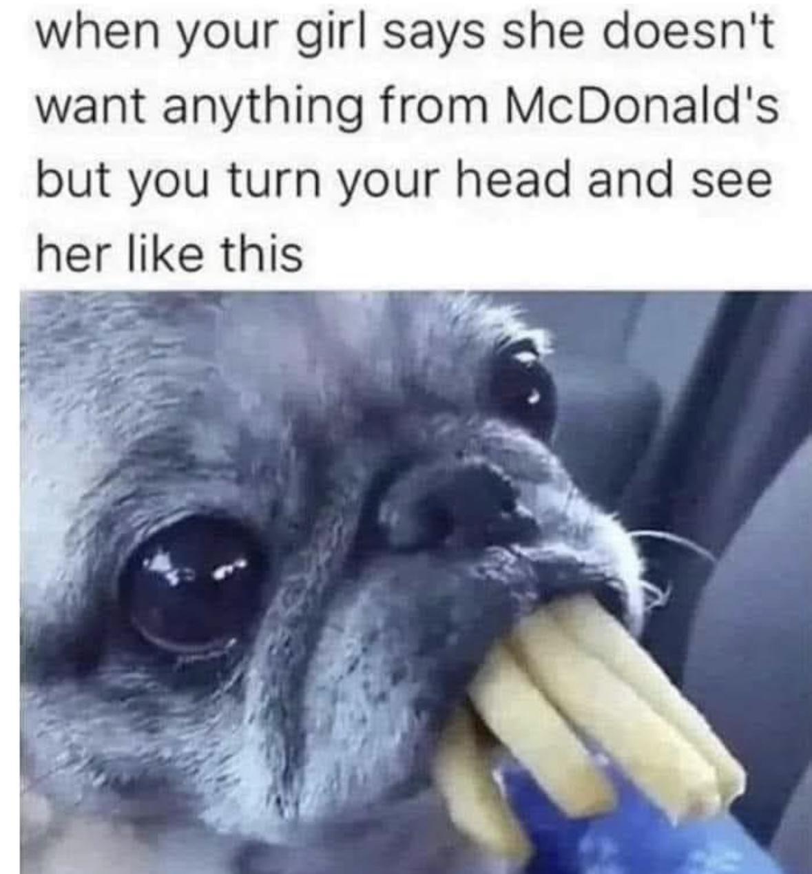 Girl Memes & Quotes