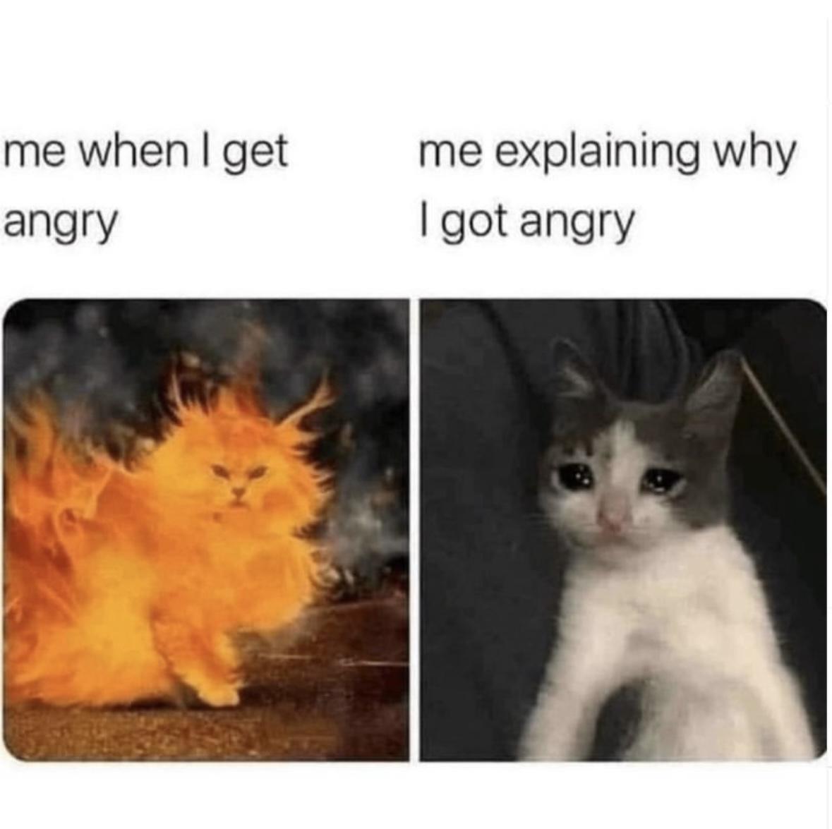 Girl Memes & Quotes