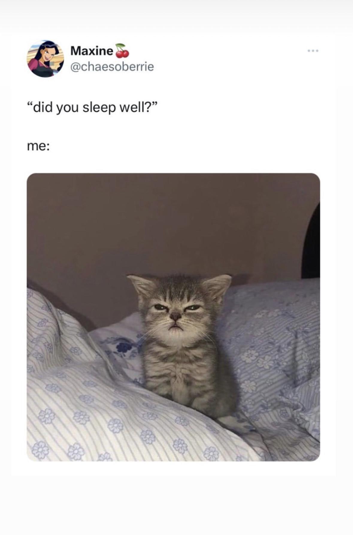 Girl Memes & Quotes