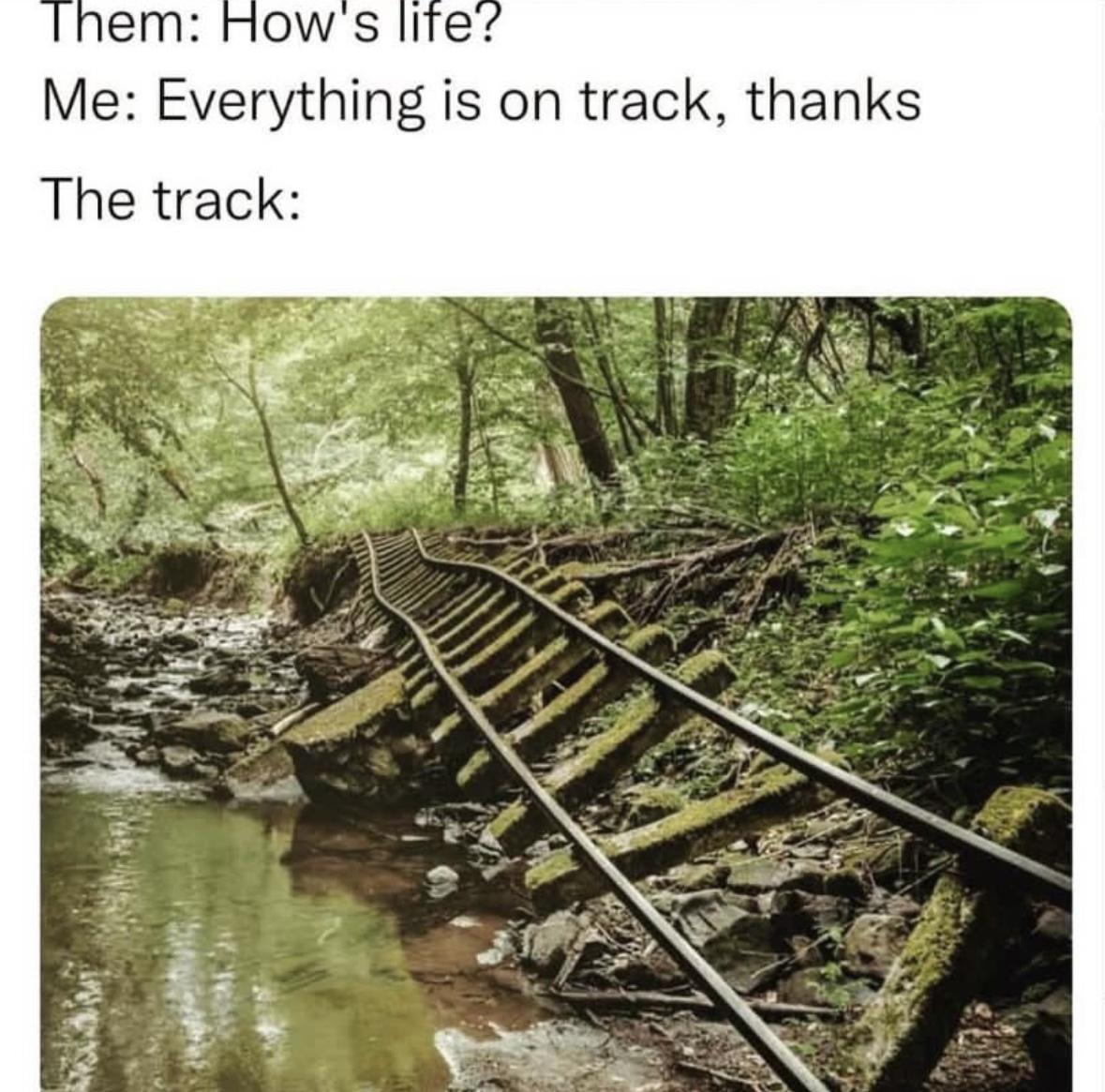 Girl Memes & Quotes