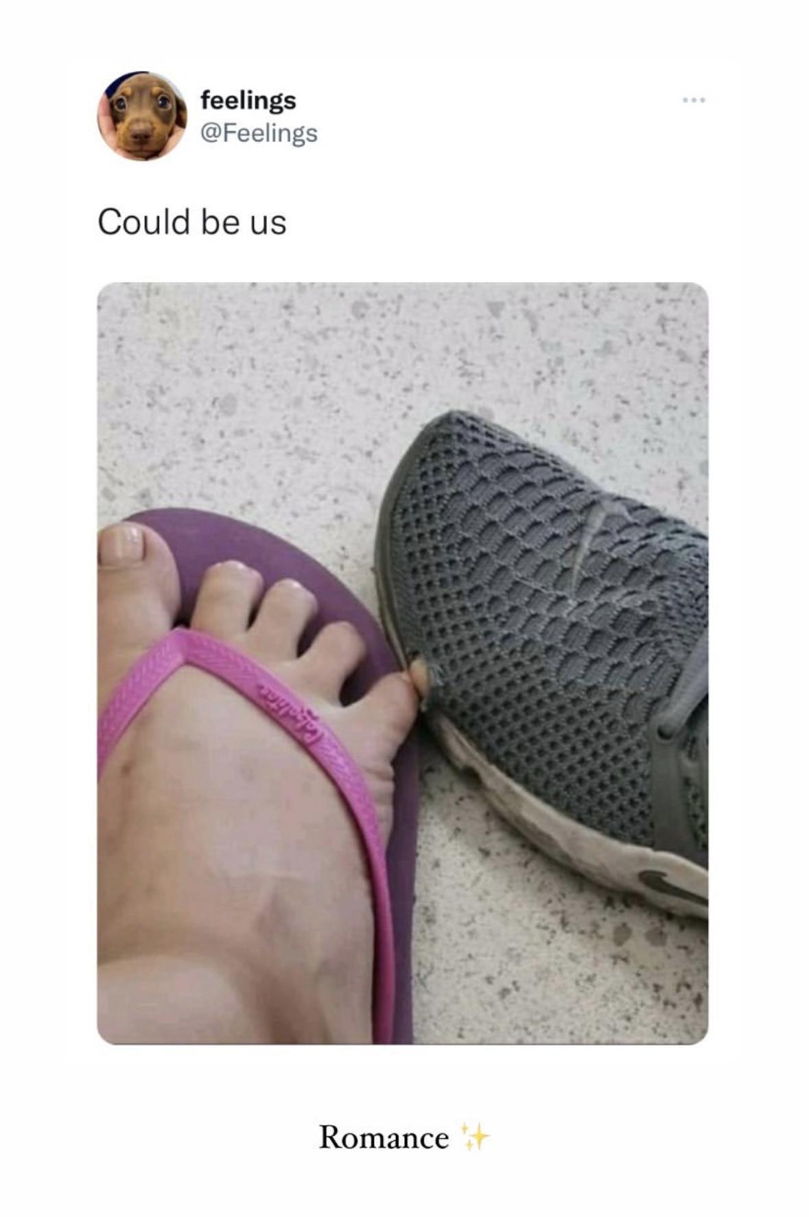 Girl Memes & Quotes