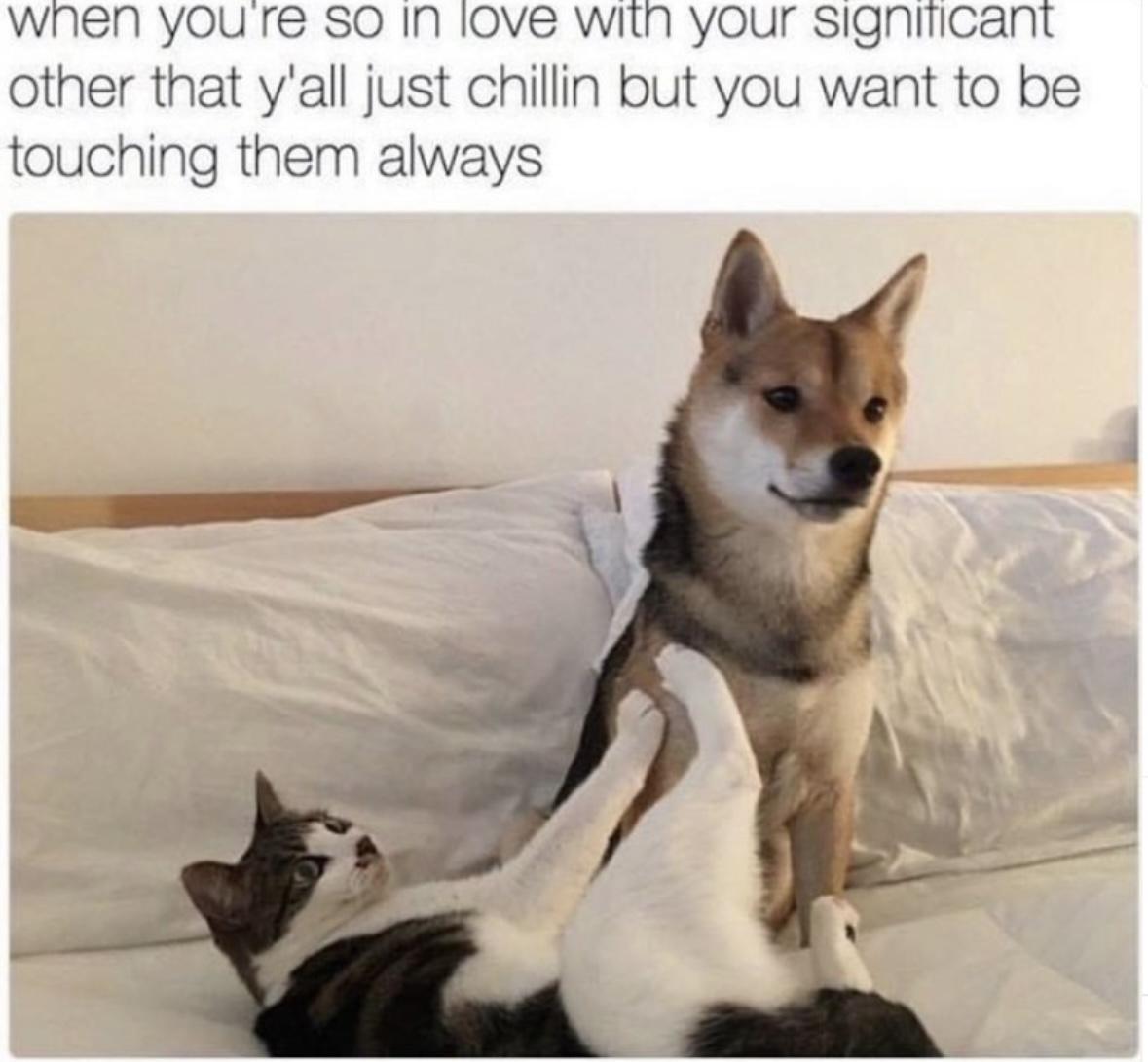 Girl Memes & Quotes
