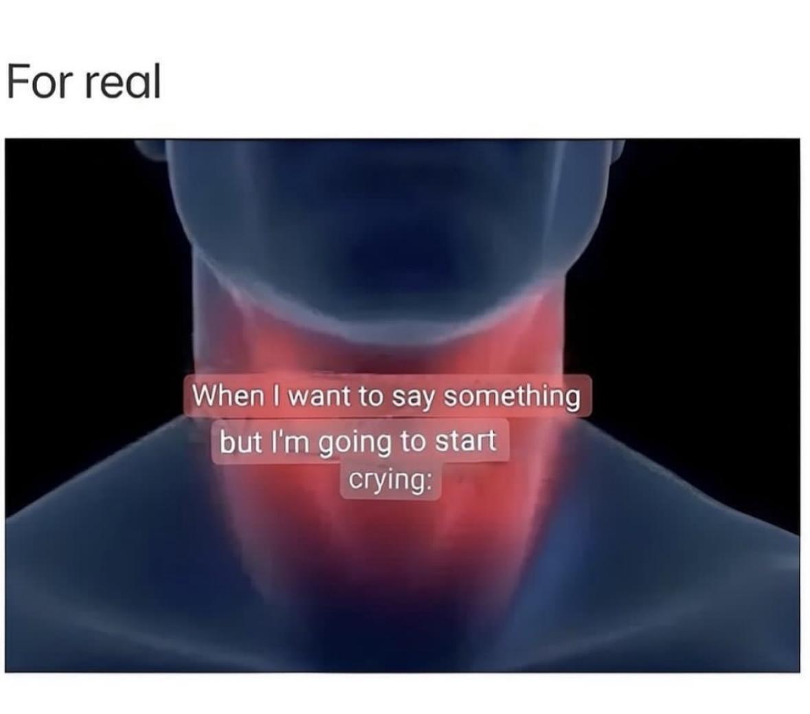 Girl Memes & Quotes