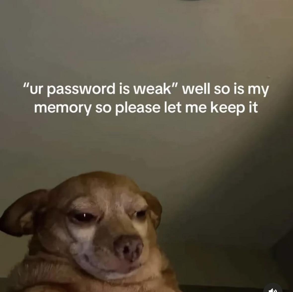 Girl Memes & Quotes