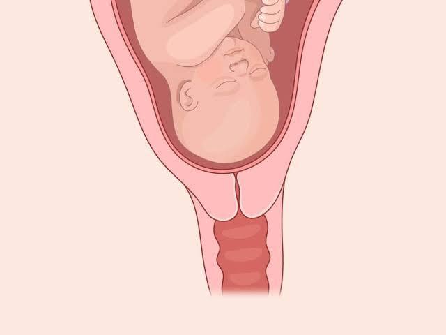 Pregnancy & Baby Tips Pregnancy & Baby Tips