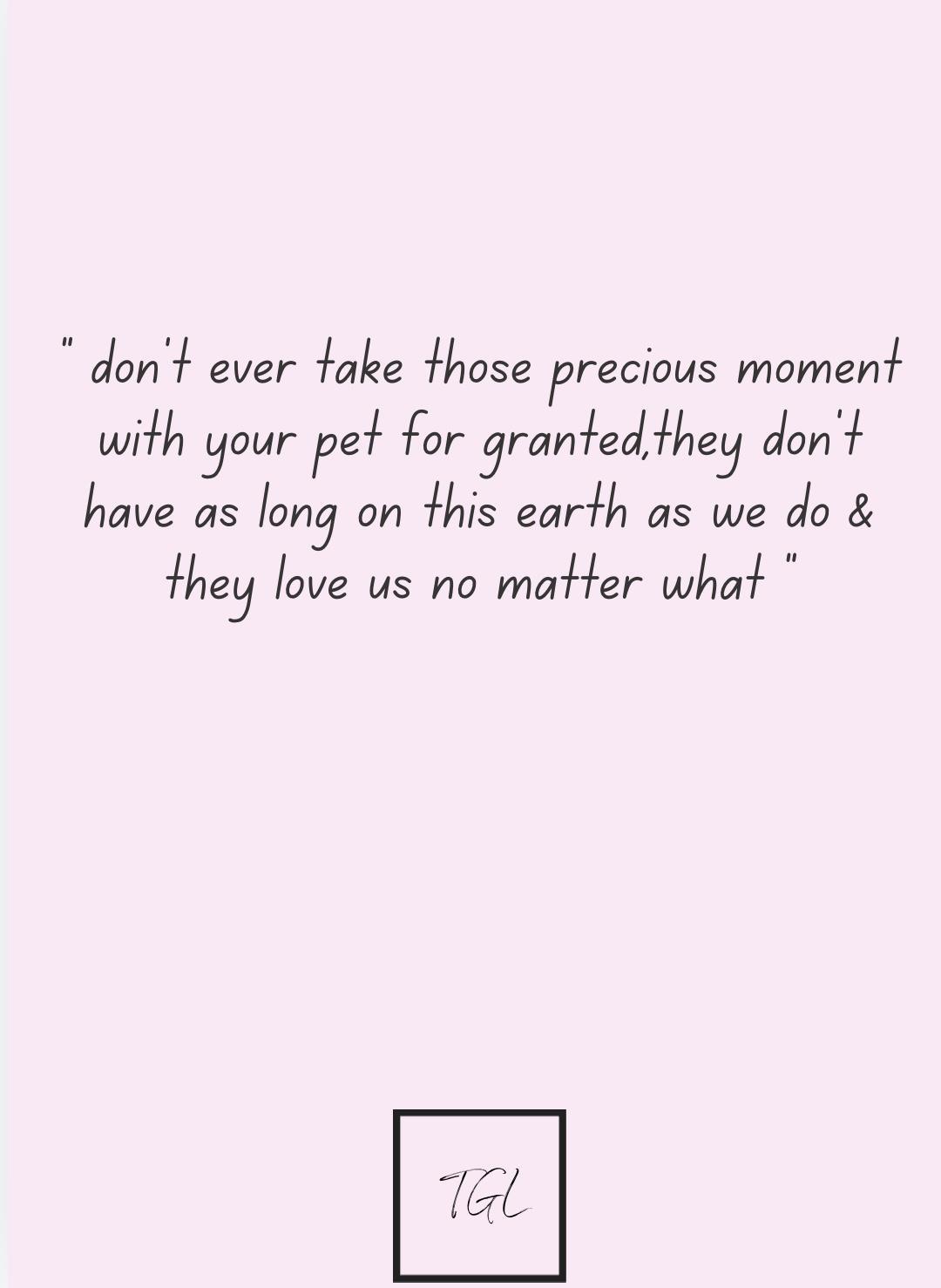 The Female Advisor The Female Advisor