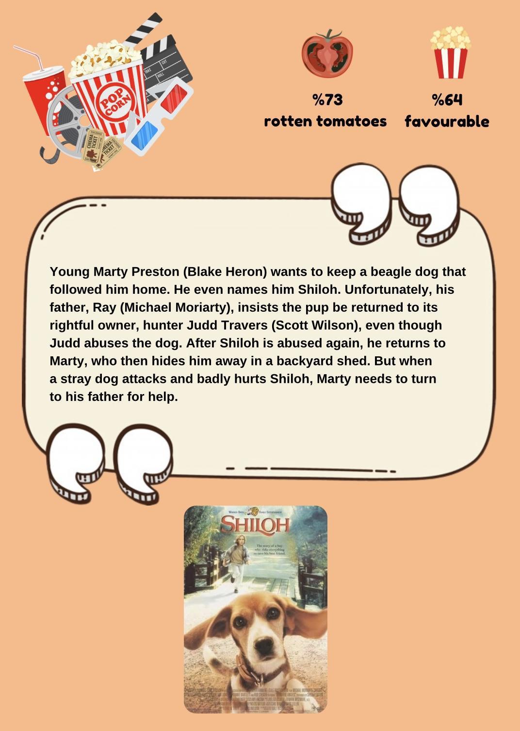 Movie & TV Show Reviews 