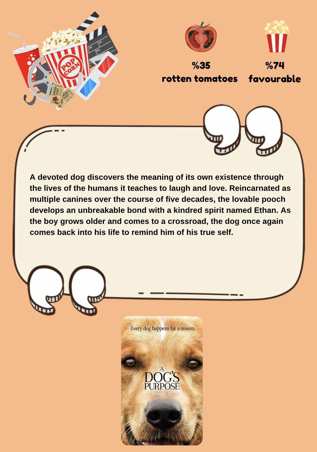 Movie & TV Show Reviews 