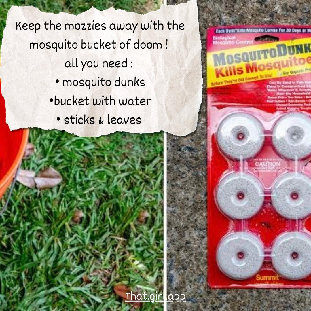Camping & Roadtrip Hacks