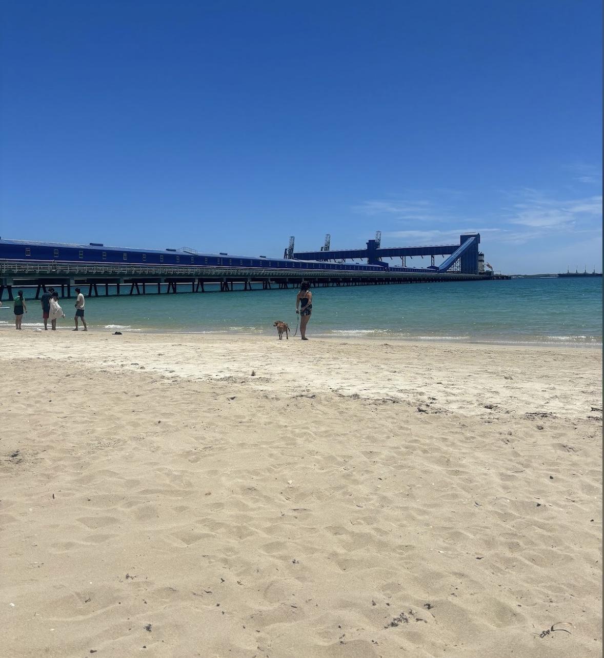 Rockingham Dog Beach 