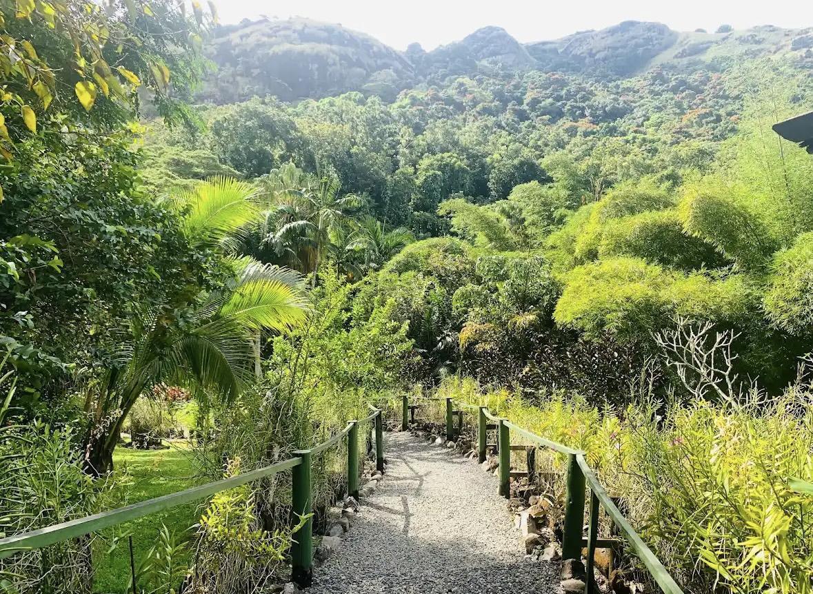 Garden Of The Sleeping Giant 