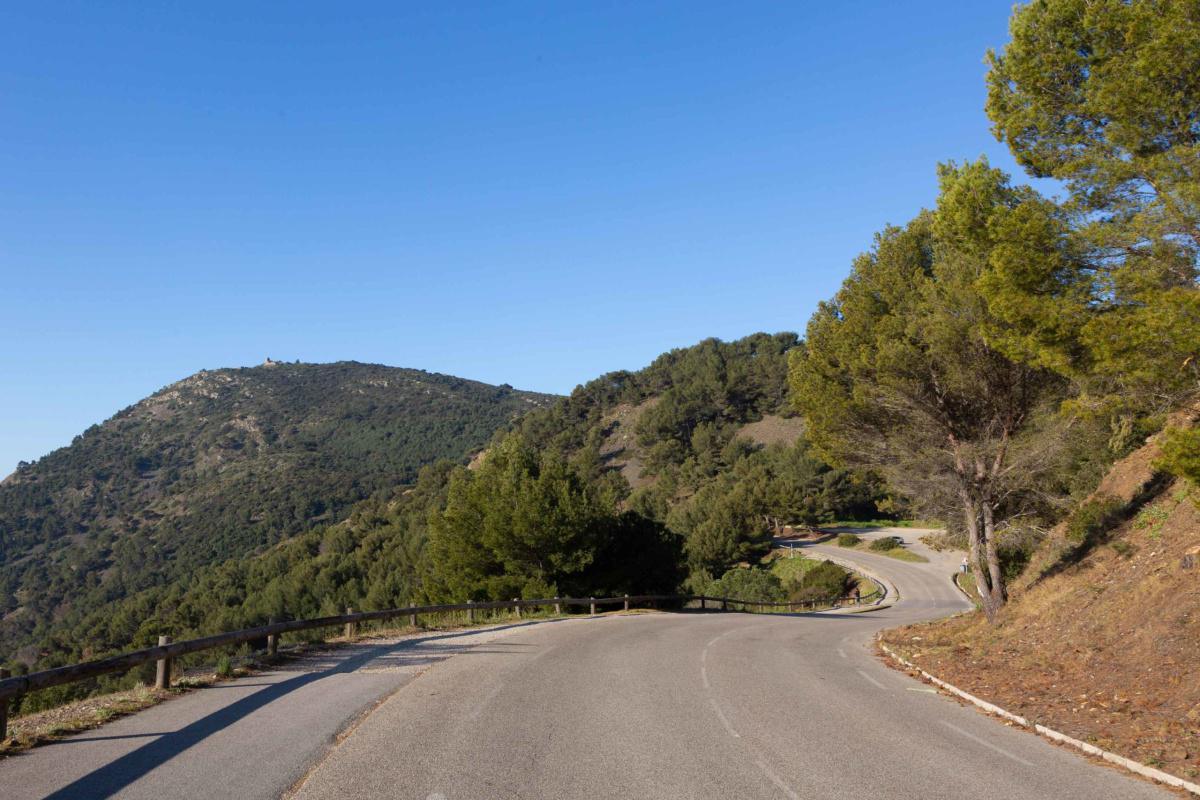 Six-Fours : un conducteur suicidaire fonce sur un groupe de personnes